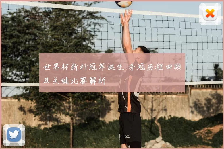 世界杯新科冠军诞生 夺冠历程回顾及关键比赛解析